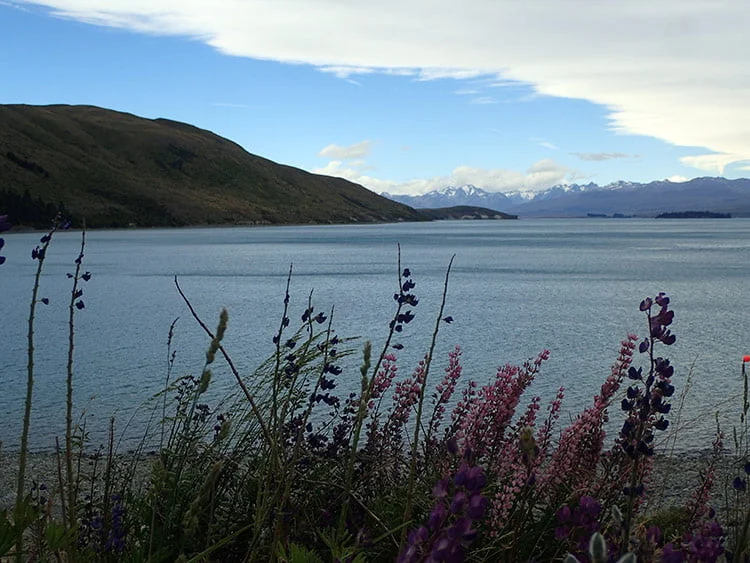 Le lac Tekapo en Nouvelle-Zélande