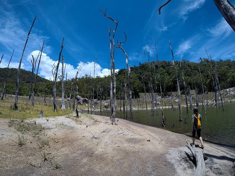 Le Lac Tinaroo sur le plateau d'Atherton