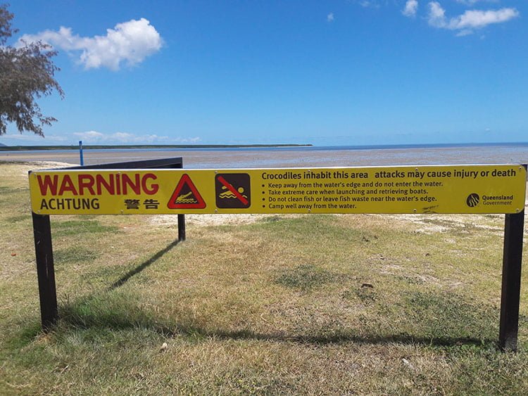 Panneau de danger crocodile