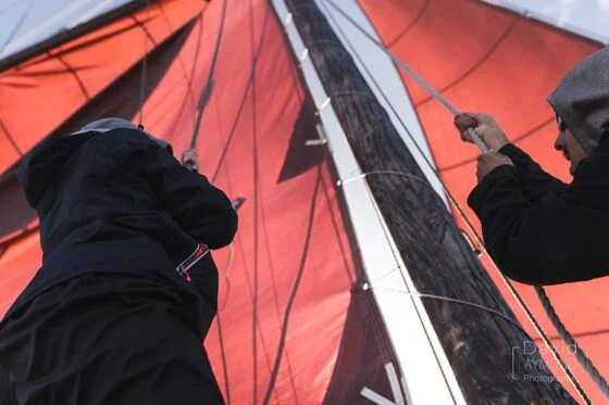 Les voiles sont hissées sur le bateau Laila