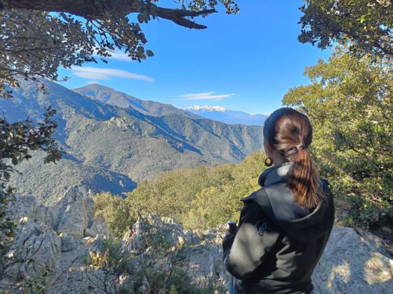 Nous avons droit à de beaux points de vue avec le Canigou en arrière-plan