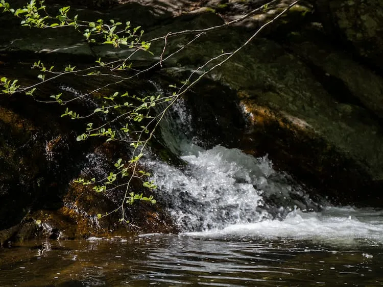 Zoom sur la cascade de Laroque des Albères