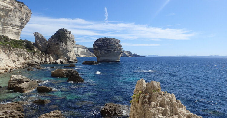 Le grain de sel de Bonifacio