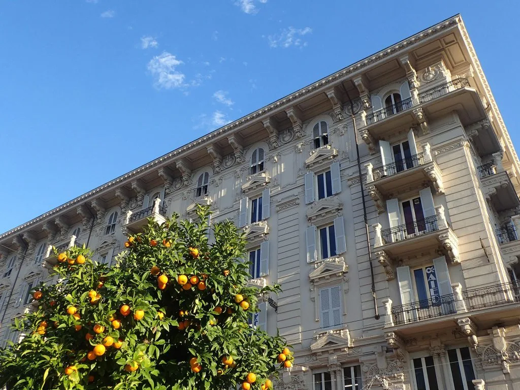 Bel immeuble en contre-plongée, avec un oranger au premier plan