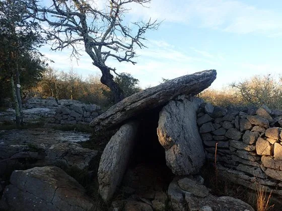 Dolmen au Ranc de Figères