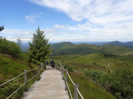 Passerelle en bois sur la descente du Puy-de-Dôme