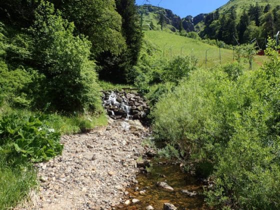 La source de la Dordogne