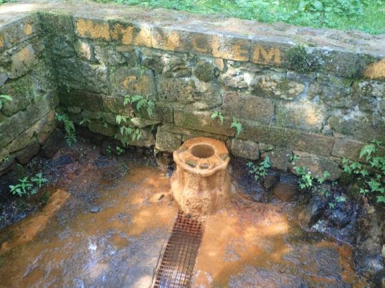 La source Goyon, à l'eau ferrugineuse