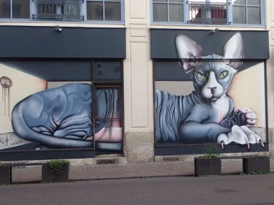 Fresque urbaine à Rouen représentant un chat sphynx